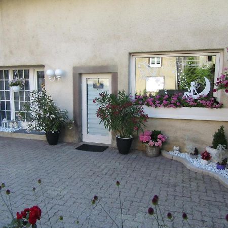 La Belle Endormie - Appartement A Fenetrange エクステリア 写真