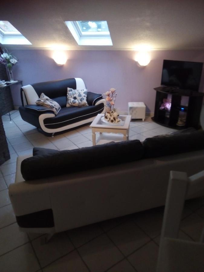 La Belle Endormie - Appartement A Fenetrange エクステリア 写真