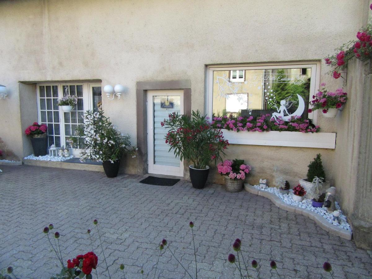 La Belle Endormie - Appartement A Fenetrange エクステリア 写真