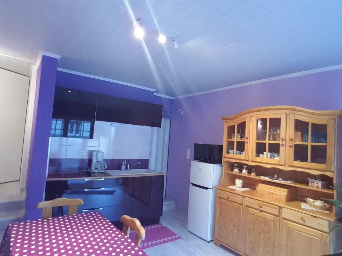La Belle Endormie - Appartement A Fenetrange エクステリア 写真