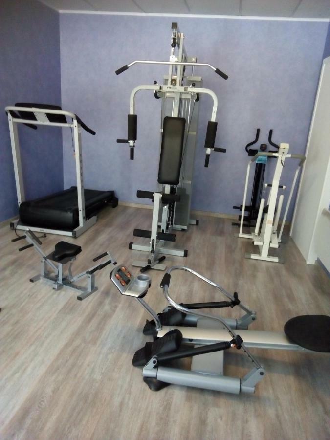La Belle Endormie - Appartement A Fenetrange エクステリア 写真